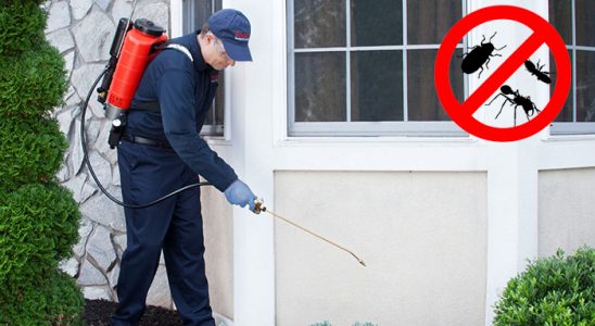 Adalar Akrep İlaçlama böcek ilaçlama ve haşere kontrolü — ilaclama-tr.com